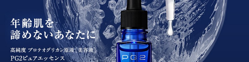 PG2�s���A�G�b�Z���X���T�C�g